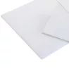 LUMEX® A APET Opal I Plaque polyester LUMEX® A APET Opal I Plaque polyester