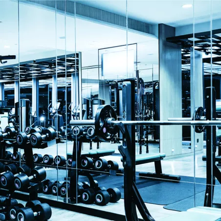 TUFFAK® Polycarbonate Miroir Argent