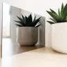 Reflet d'une plante avec le DIBOND® miroir Reflet d'une plante avec le DIBOND® miroir