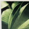 Impression sur un panneau de carton écologique DISPA® RE Impression sur un panneau de carton écologique DISPA® RE