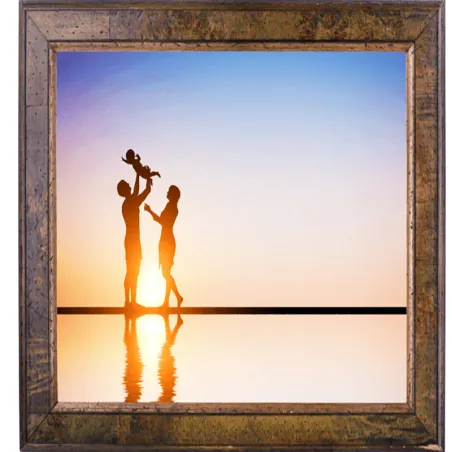 Plaque polycarbonate compact incolore I Lexan I Anti reflets