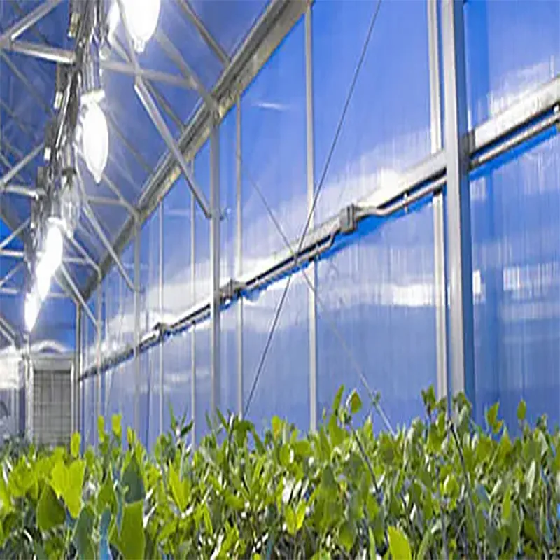 PoliCarb® Bleu 10 mm I Polycarbonate alvéolaire