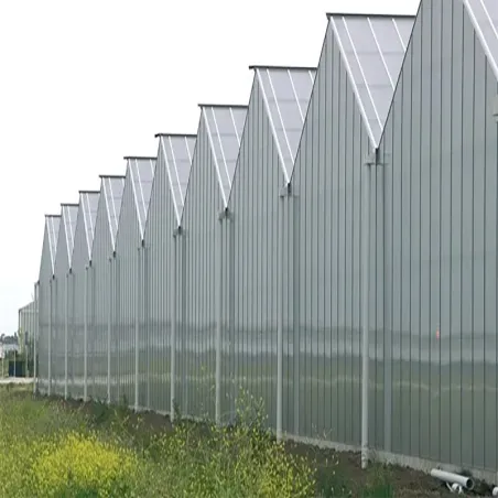 Thermoclear-Plus™ 32 mm 5 parois I Polycarbonate alvéolaire
