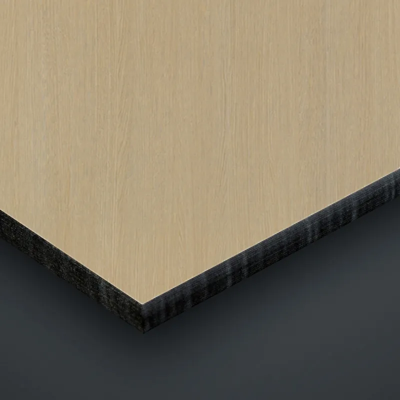 Formica® Compact | Zones humides et d'impacts