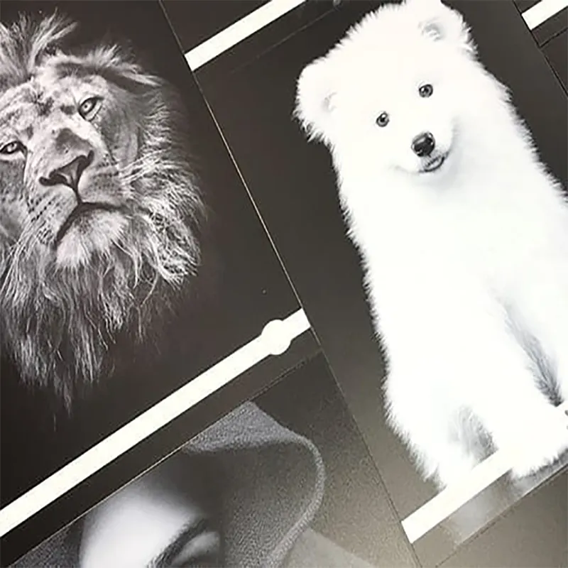 Plaque PP alvéolaire Akyprint | Matière recyclée