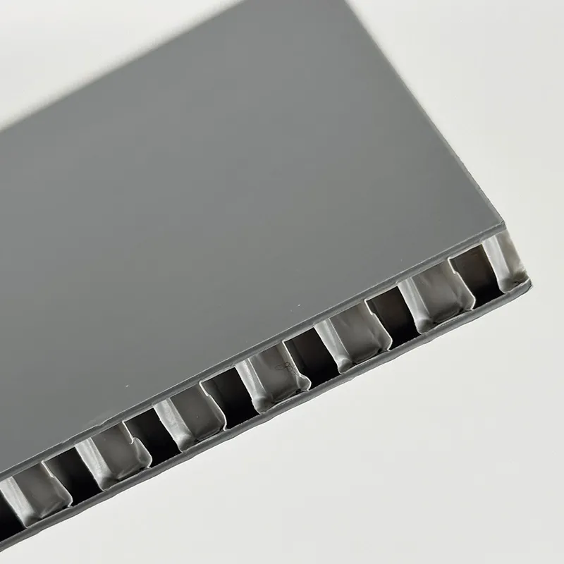 EXALITE® Gris | PP Alvéolaire nid d'abeille