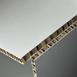 SKINABOARD® Blanc I Carton alvéolaire