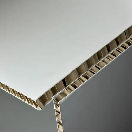 SKINABOARD® Blanc I Carton alvéolaire