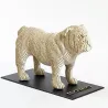 SKINABOARD® 2D Blanc SKINABOARD® 2D Blanc