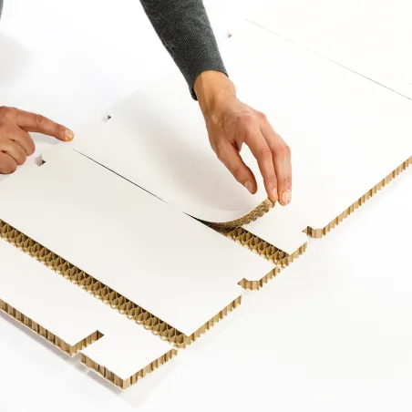 SKINABOARD® 2D Blanc
