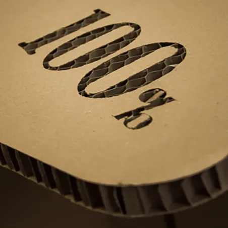 SKINABOARD® 2D Kraft