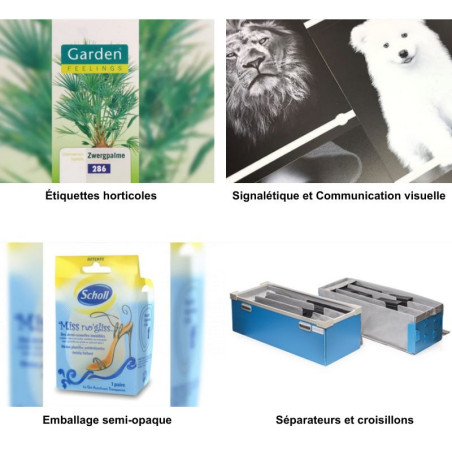 PRYPLON® Polypropylène Film Blanc