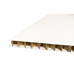 SKINABOARD® 2D Blanc