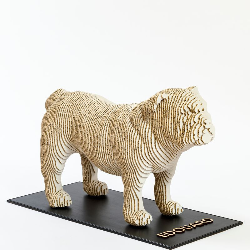 SKINABOARD® 3D Blanc I Carton alvéolaire