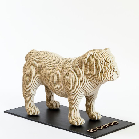 SKINABOARD® 3D Blanc I Carton alvéolaire