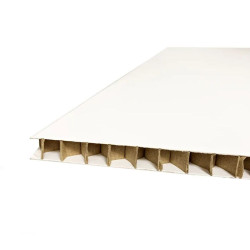 SKINABOARD® 2D Blanc/Blanc