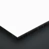 Panneau stratifié compact Arpa® face Blanc 0001